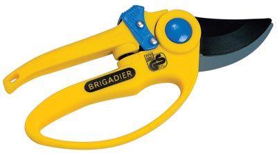   .   BRIGADIER 82032