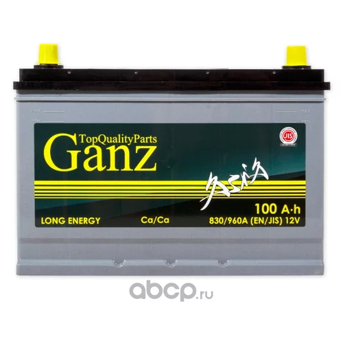  GANZ ASIA 100 /  304X173X220 EN780 GA1000 GANZ GA1000 GAA1000