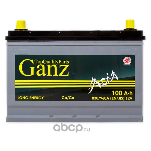  GANZ ASIA 100 / 304X173X220 EN780 GA1001 GANZ GA1001 GAA1001