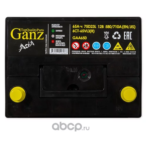  GANZ ASIA 65 /  232X173X220 EN580 GA650 GANZ GA650 GAA650