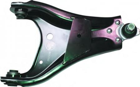    REN DUSTER BR1250