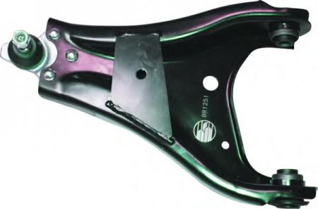    REN DUSTER BR1251