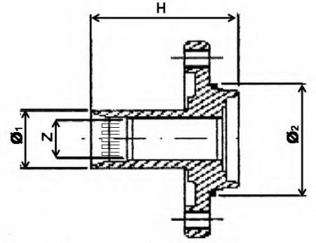   RUV 486501