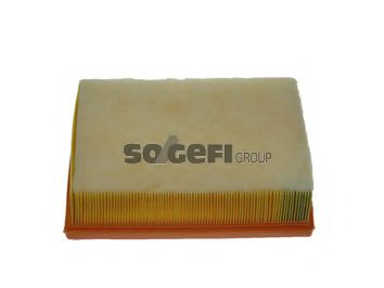   PSA C4 06-, 307 05- CA10023