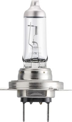   H7 12V 55W PX26D LONGLIFE ECOVISION (4-        ) 12972LLECOC1