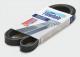 BP5PK1645 Finwhale