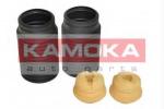 2019008 KAMOKA