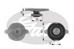 RC132 Gates