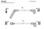 T813B TESLA