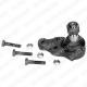 TC202 DELPHI